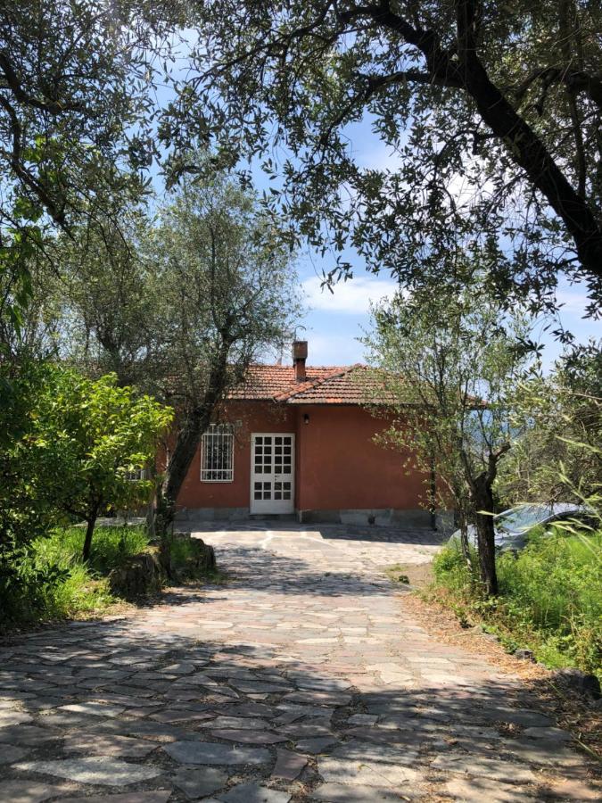Casa Alma Διαμέρισμα Castelnuovo Magra Εξωτερικό φωτογραφία
