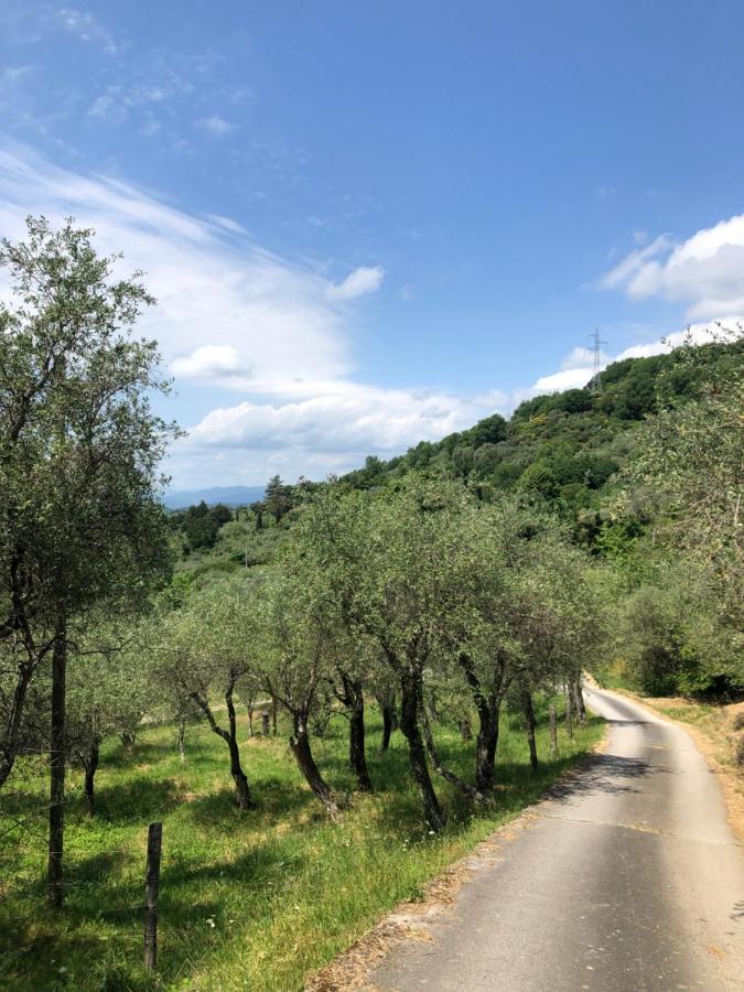 Casa Alma Διαμέρισμα Castelnuovo Magra Εξωτερικό φωτογραφία